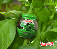 Thumbnail for Jelly - Green Habanero Jelly, 11 oz - Marie Sharp's Company Store