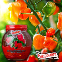 Thumbnail for Jelly - Red Habanero Jelly, 11 oz - Marie Sharp's Company Store