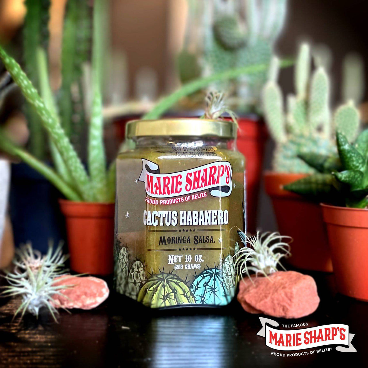 NEW Cactus Moringa Salsa, 10 oz - Marie Sharp's Company Store